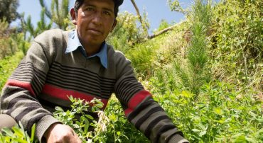 Estrategias de adaptación y resiliencia del agricultor andino frente al cambio climático