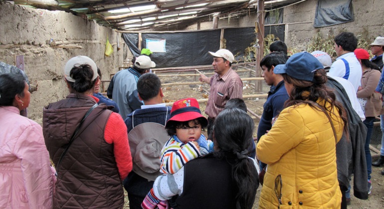 Visita de estudiantes del IEST Antonio Raimondi de Yanama a sistemas agropecuarios sostenibles de Huari