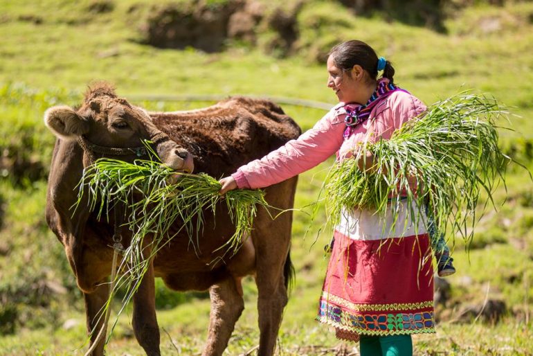 Pasantía a experiencias de formación agropecuaria en cajamarca