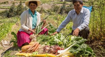Región Ancash: 26 productoras y productores agroecológicos exhiben sus productos en rueda de negocios