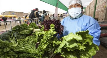 FORMAGRO, AGRORURAL y la Prefectura Regional de Lima Metropolitana realizarán Mercado Solidario Agroecológico en San Juan de Lurigancho