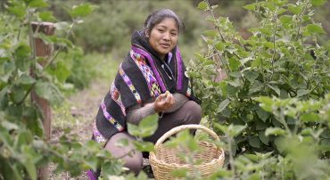 “Voces del Campo”: Un documental que ofrece una mirada hacia el emprendimiento a través de la agricultura sostenible
